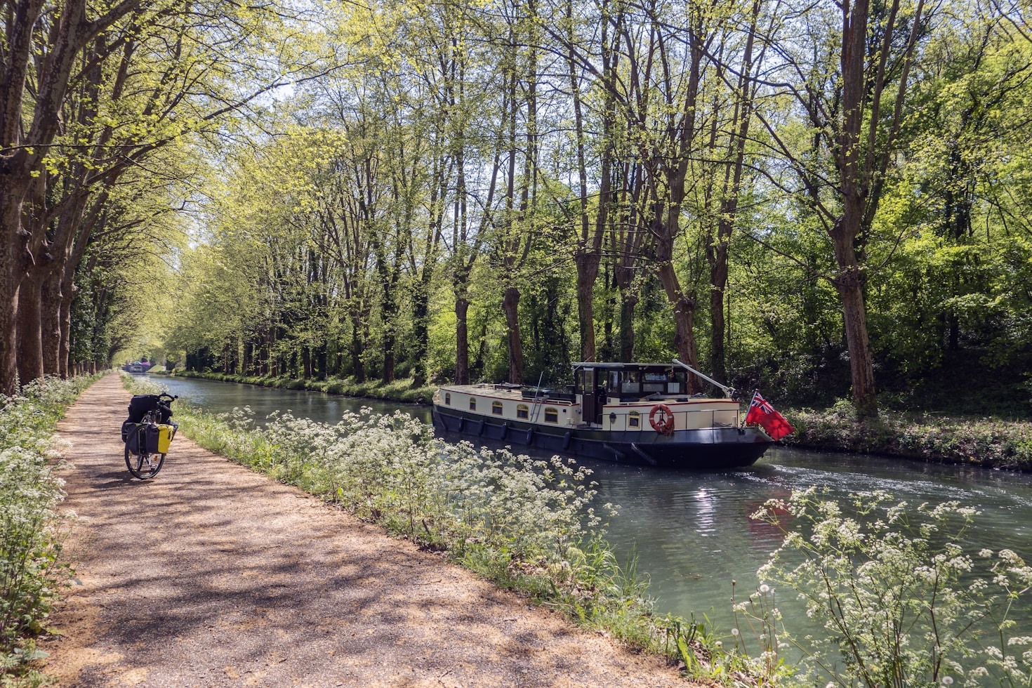 Reliving the Highlights of Past River Races